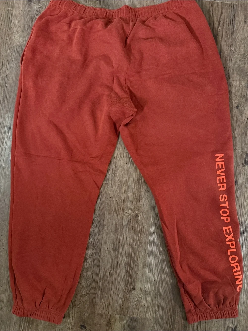 North Face Box NSE jogger pant